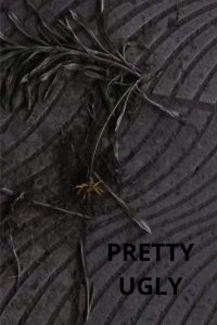 Pretty Ugly