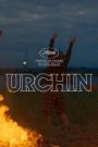 Urchin
