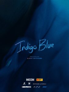 Indigo Blue