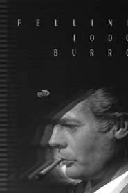 FELLINI TODO BURRO (um filme caseiro)