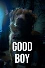 Good Boy
