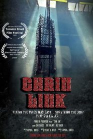 Chain Link