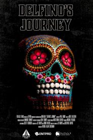 Delfino’s Journey