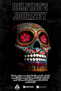 Delfino’s Journey