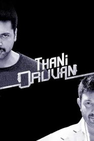 Thani Oruvan (2015) on pocketmovievip: Watch Online & Free Download