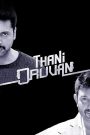 Thani Oruvan (2015) on pocketmovievip: Watch Online & Free Download