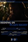Hiding in Plain Sight