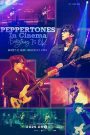 PEPPERTONES In Cinema : Everything Is OK
