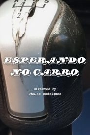 Esperando no Carro