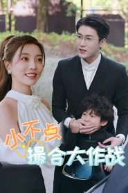 小不点撮合大作战