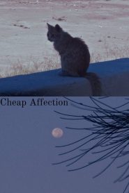 Cheap Affection