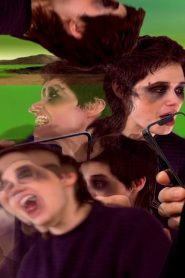 Simulacrumbs