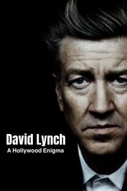 David Lynch, A Hollywood Enigma