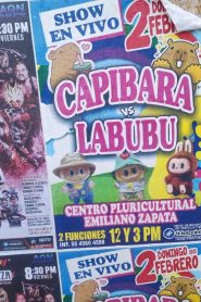 Capybara vs. Labubu