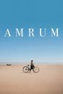 Amrum