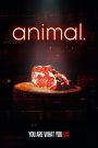 animal.