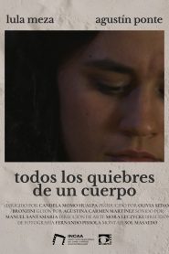Todos los quiebres de un cuerpo