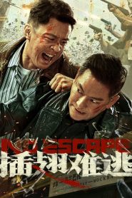 插翅难逃